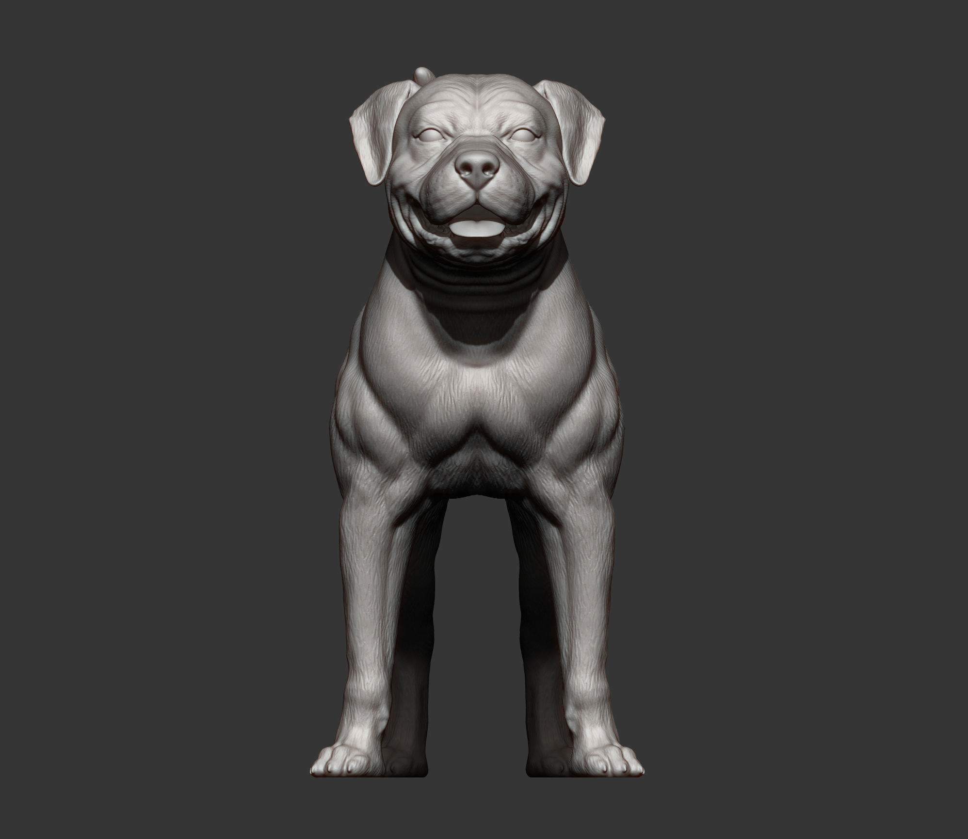 american bulldog 3D print model_10