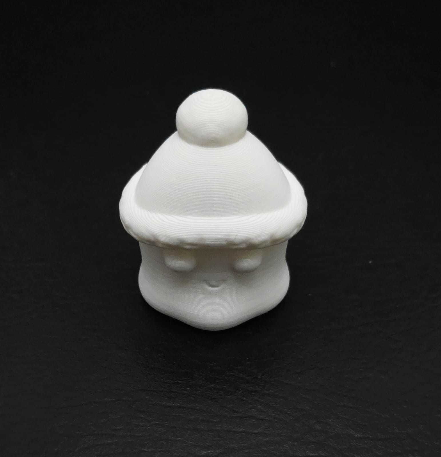 Ghost Winter Cap 3D print model_10