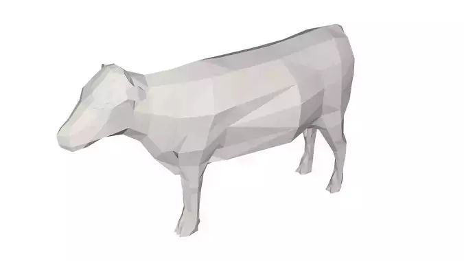 Cow animal