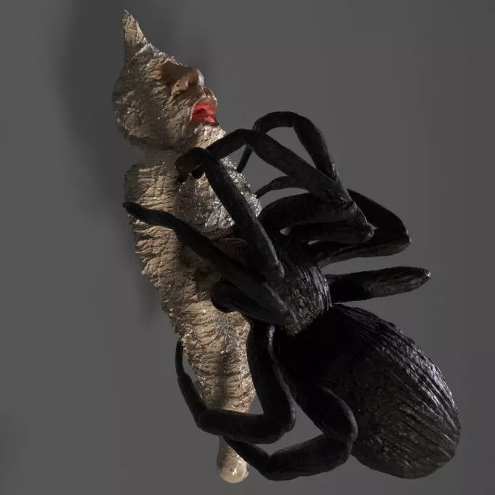 Dwarf Spider Victim with Spider 3D print model