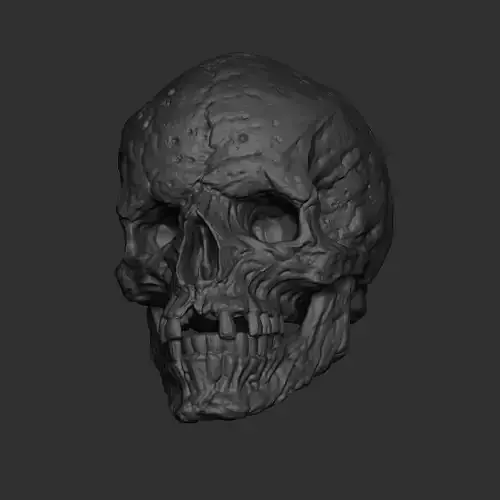 Skull highpoly model