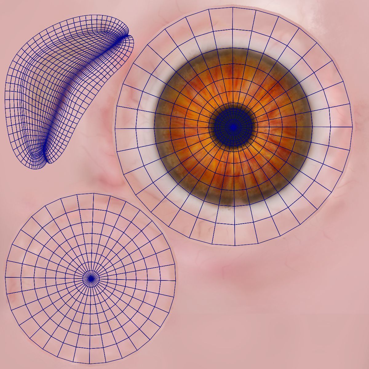 Black Cock Animated VFX Grace 3D model_41