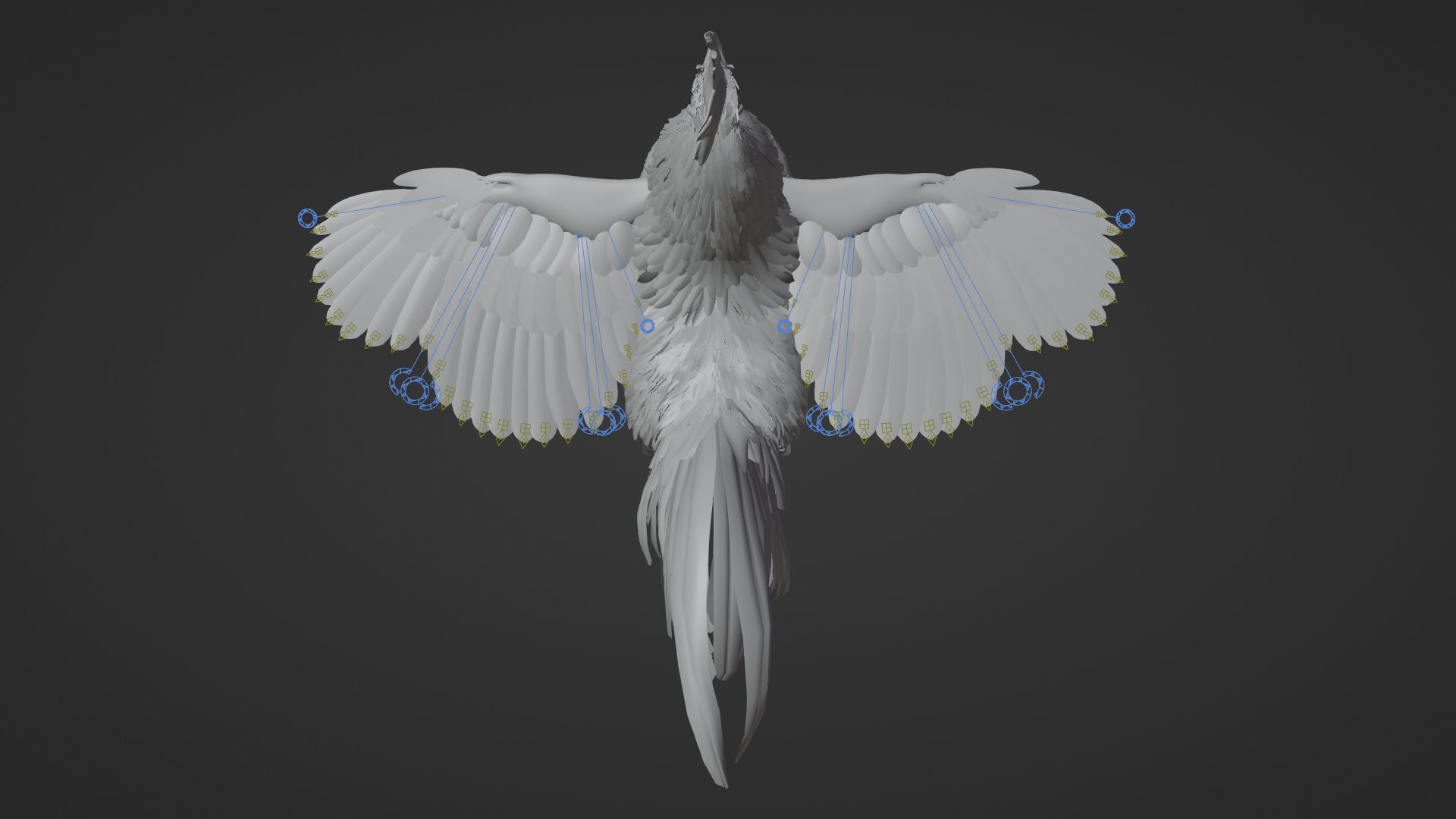 Black Cock Animated VFX Grace 3D model_29