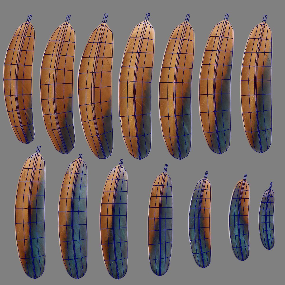 Black Cock Animated VFX Grace 3D model_50