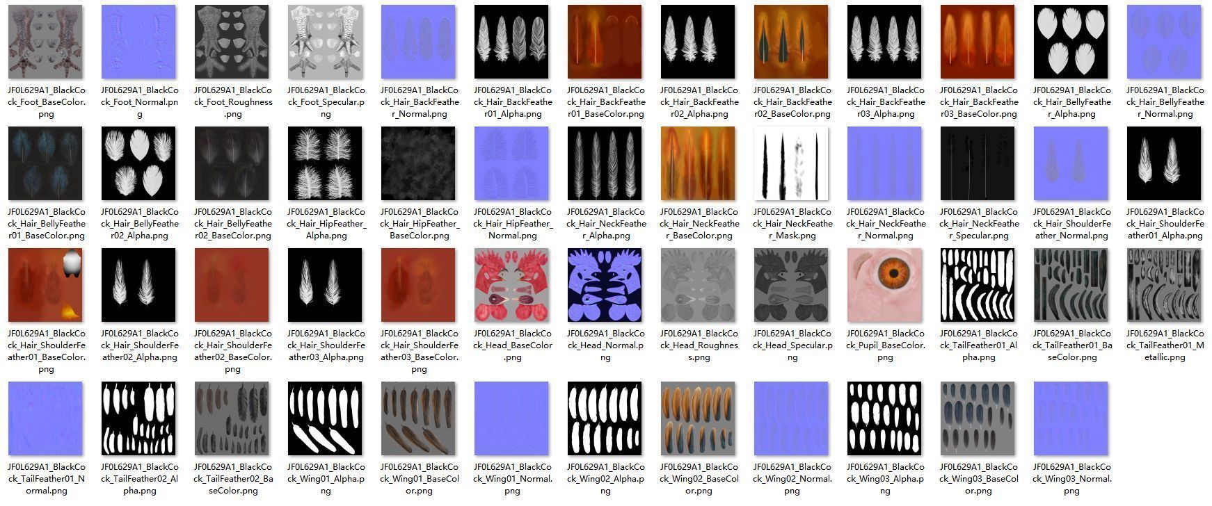 Black Cock Animated VFX Grace 3D model_37