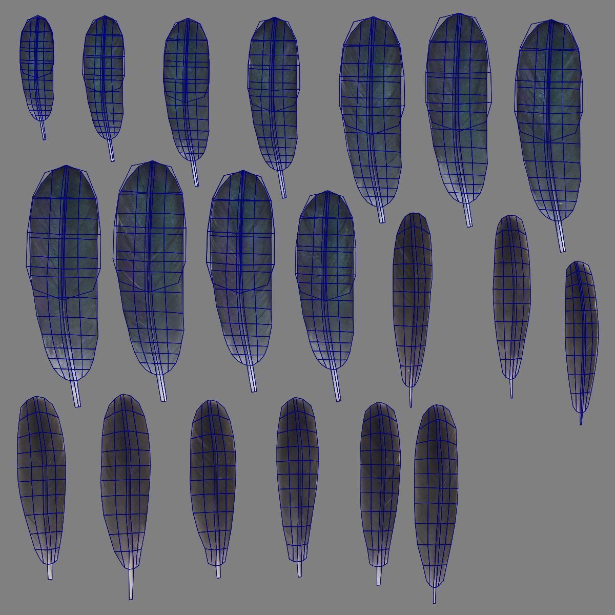 Black Cock Animated VFX Grace 3D model_54