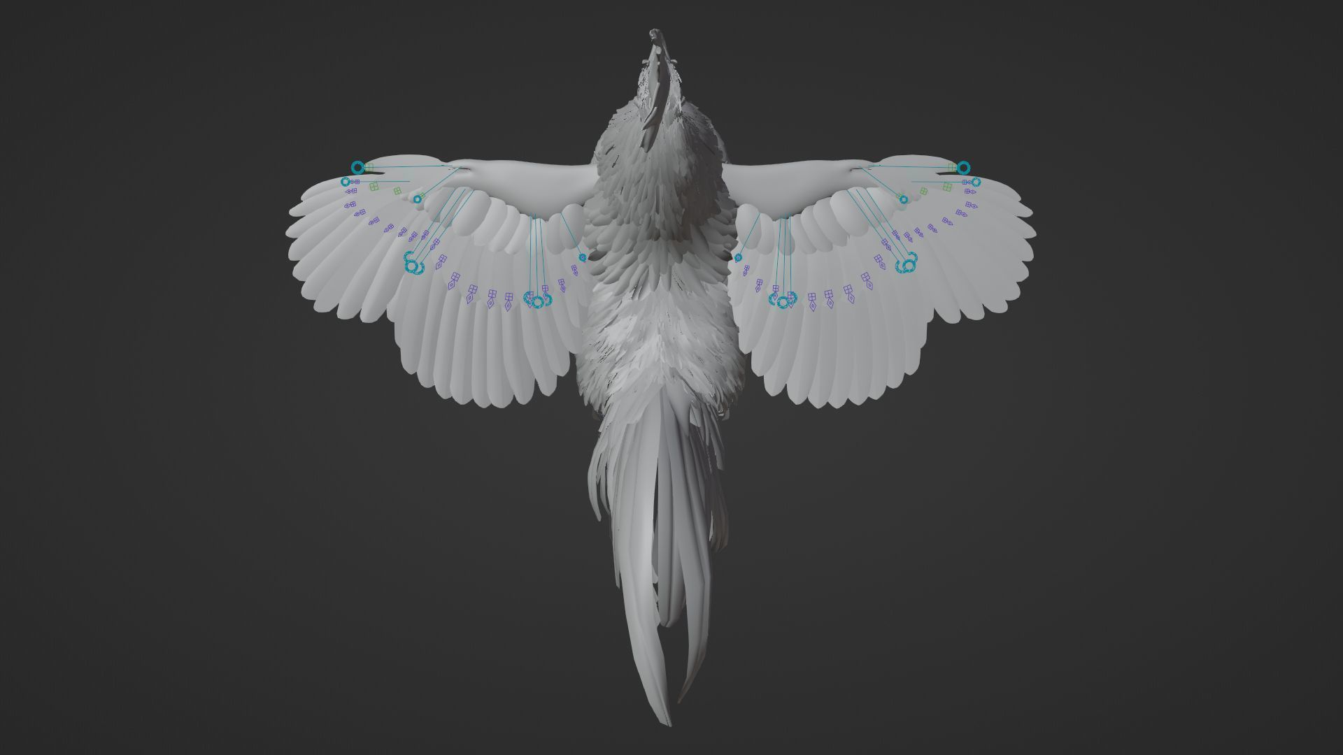 Black Cock Animated VFX Grace 3D model_31
