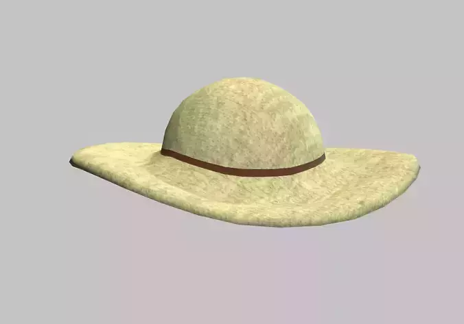 summer hat