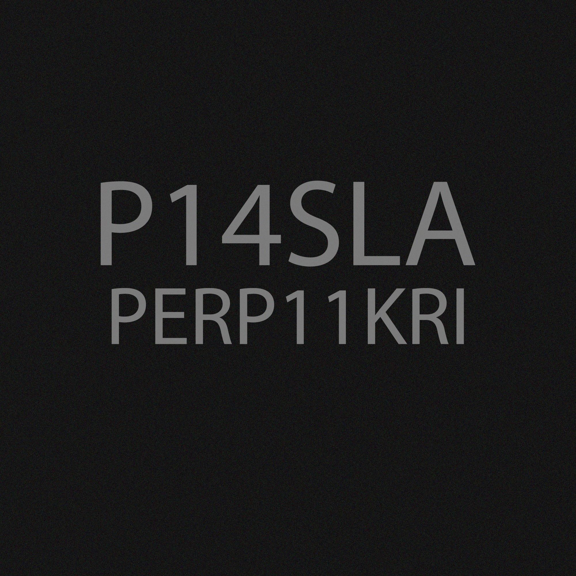 SSD 3D model Low-poly 3D model_11