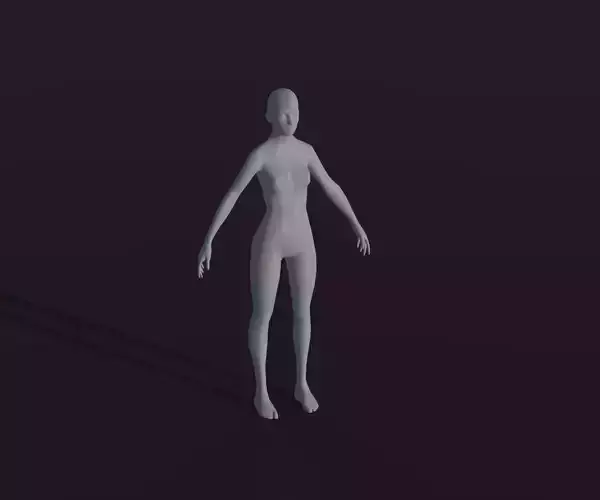 Female Body Base Mesh Animated and Rigged 3D Model Low-poly 3D model
