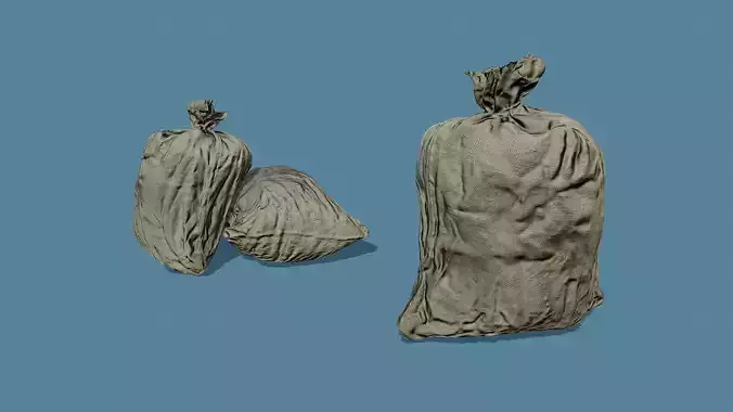 3D Scan Old Bag 01