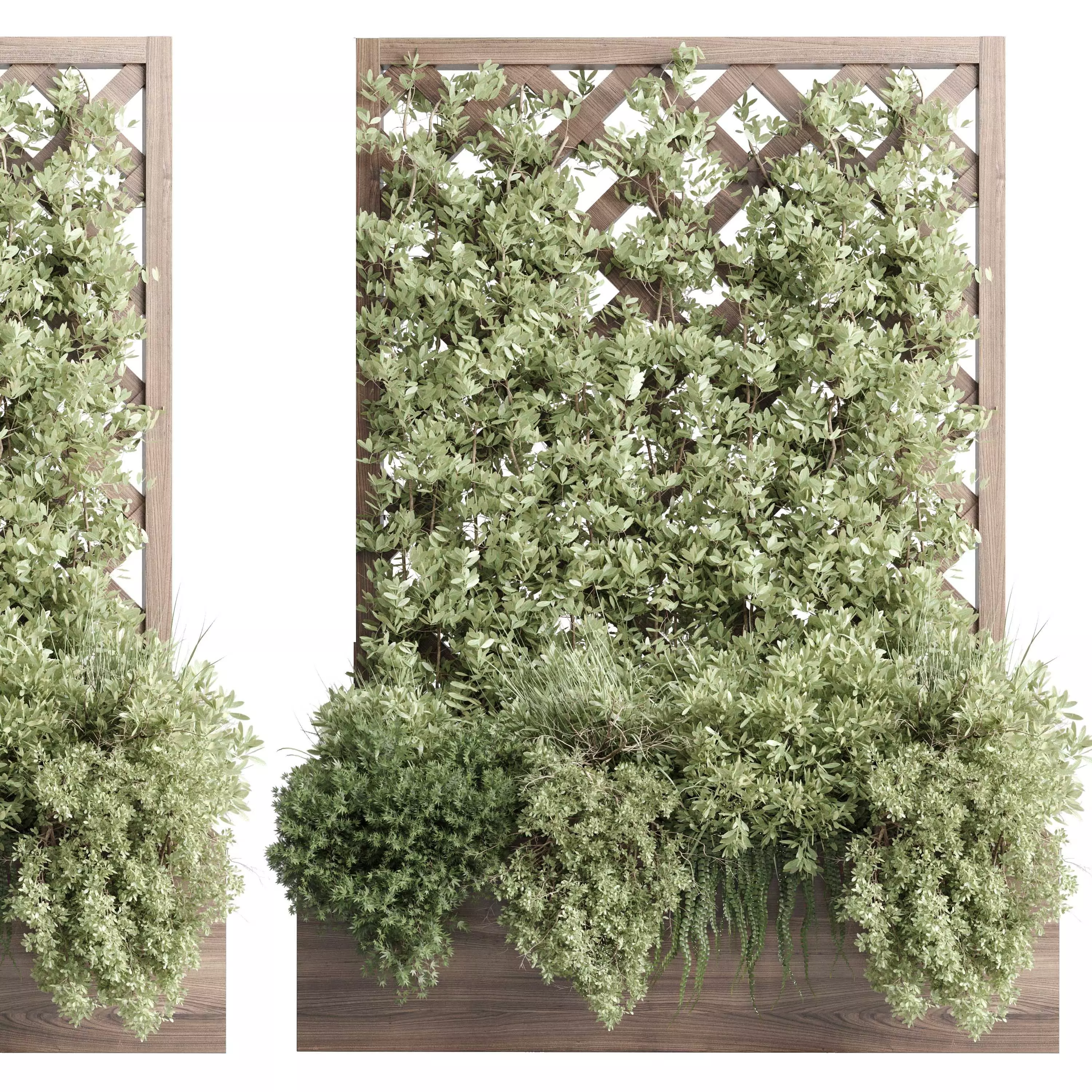 Vertical garden box wooden outdoor green garden plants 90 3D model