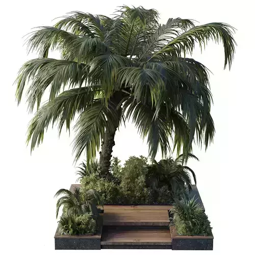 garden pot tree palm bush Collection Outdoor plant 