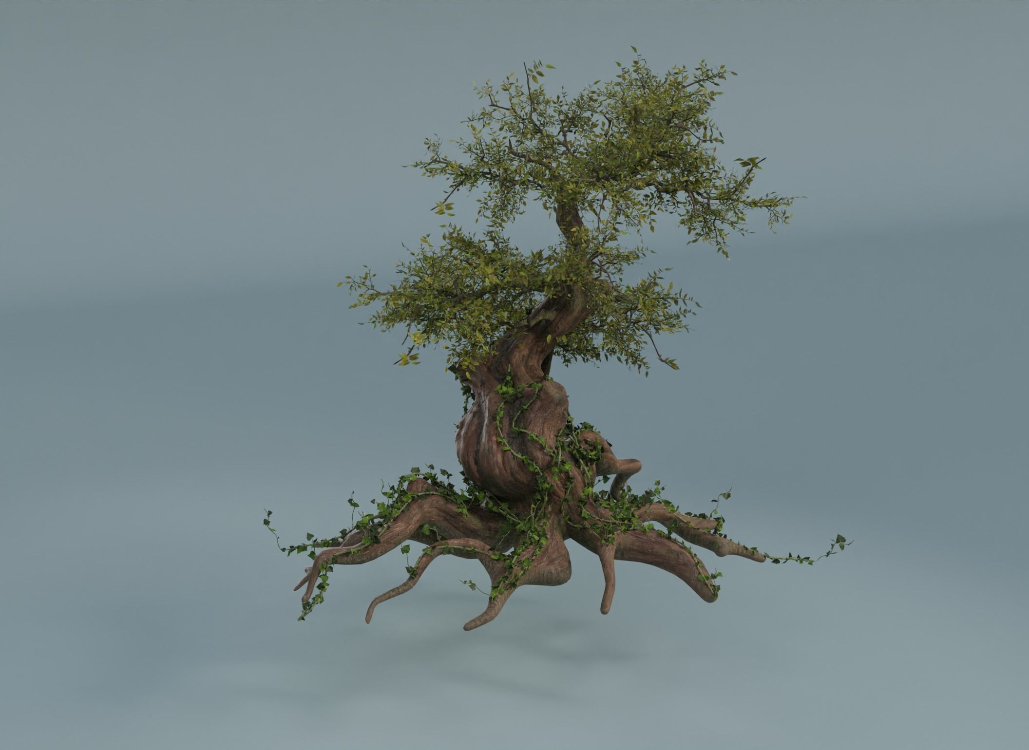 Chinese banyan Ancestral old tree Low-poly 3D model_7