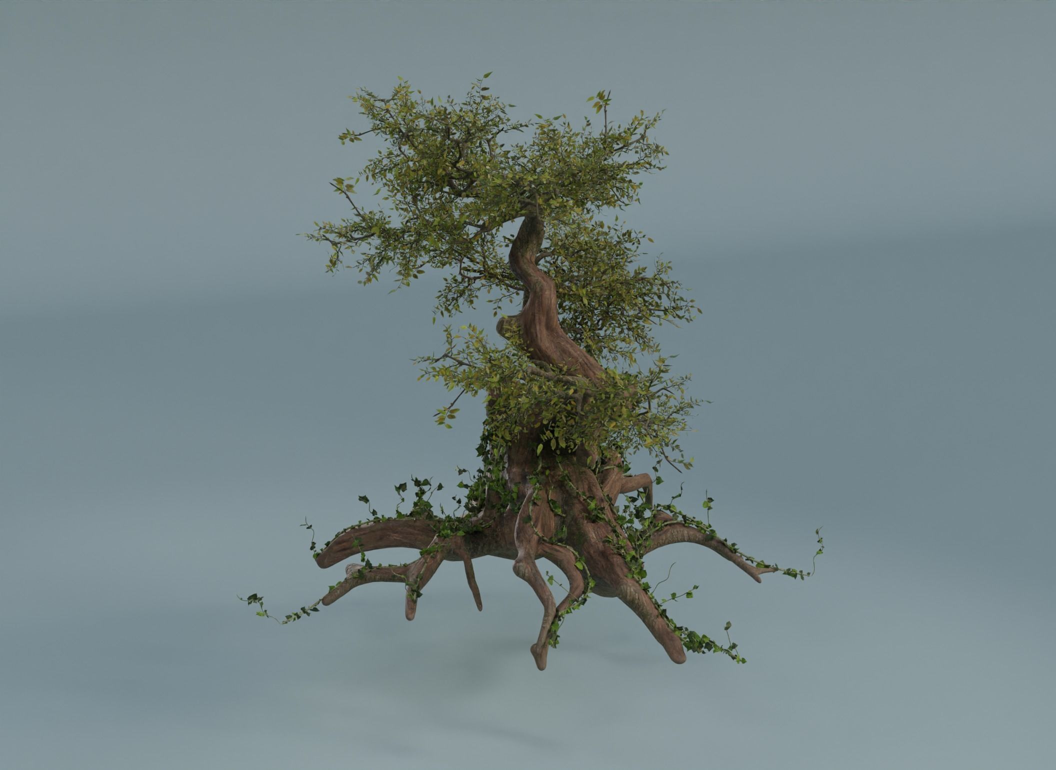 Chinese banyan Ancestral old tree Low-poly 3D model_2