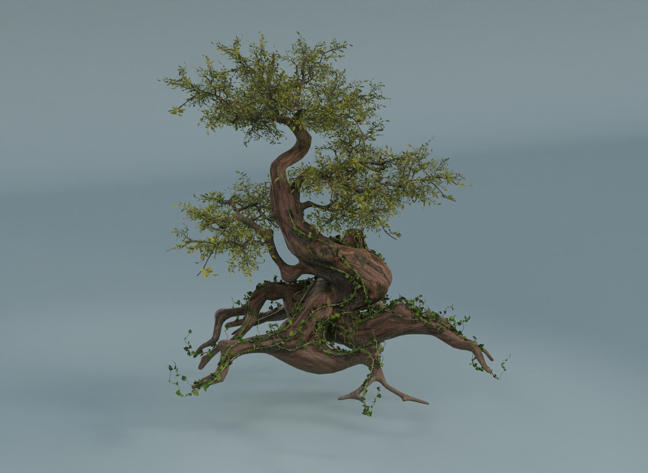 Chinese banyan Ancestral old tree Low-poly 3D model_11