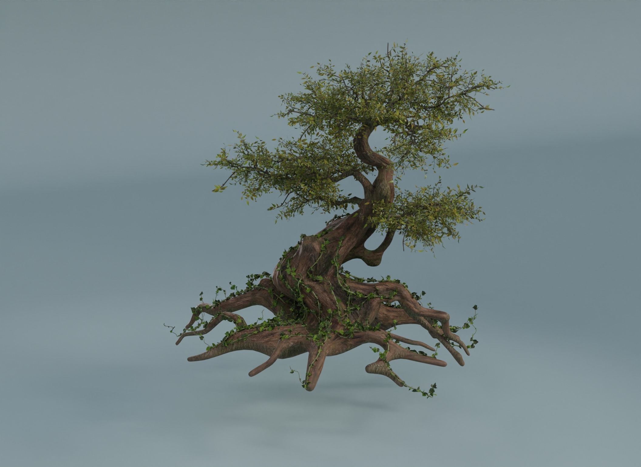 Chinese banyan Ancestral old tree Low-poly 3D model_5