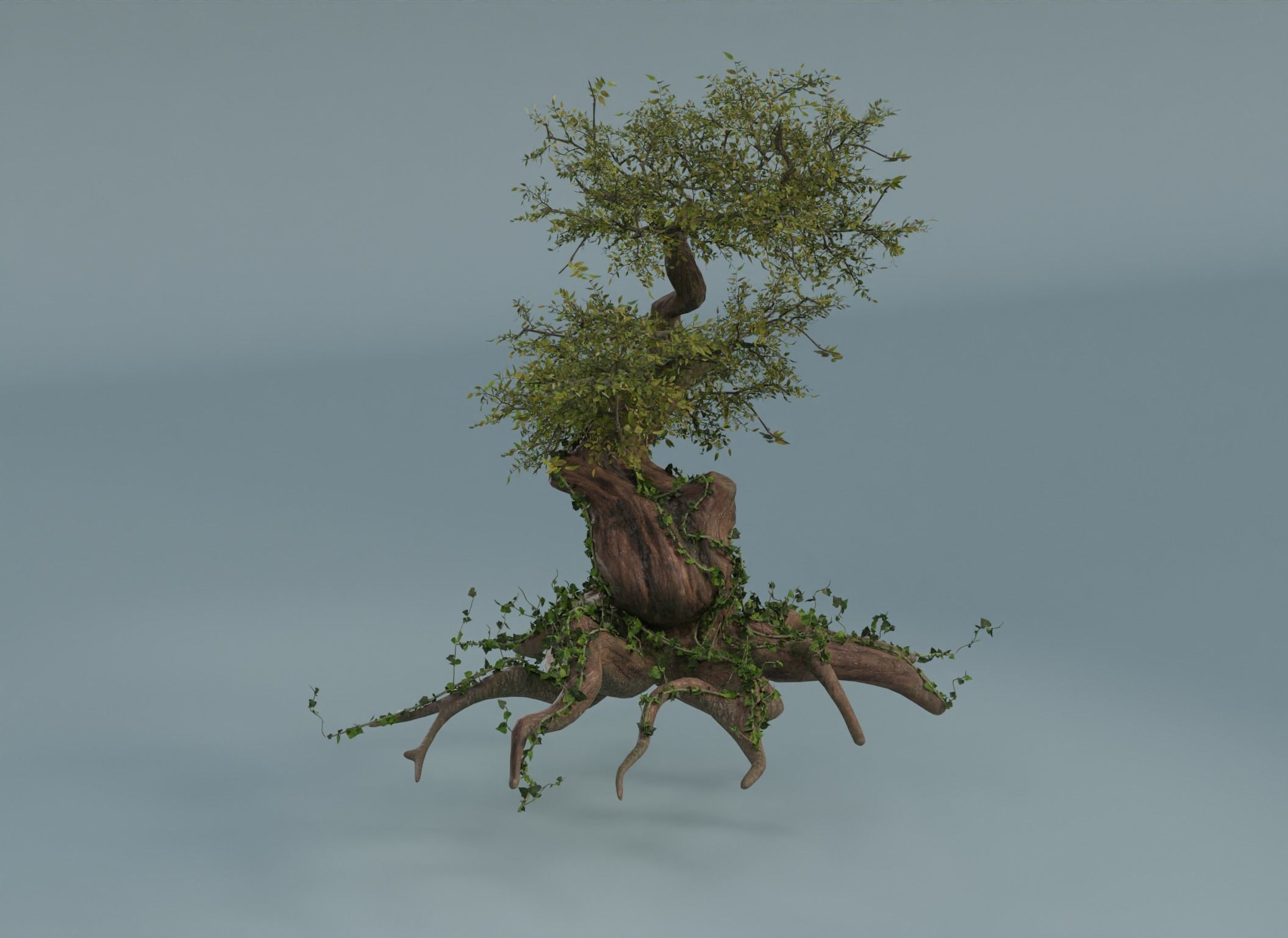 Chinese banyan Ancestral old tree Low-poly 3D model_8