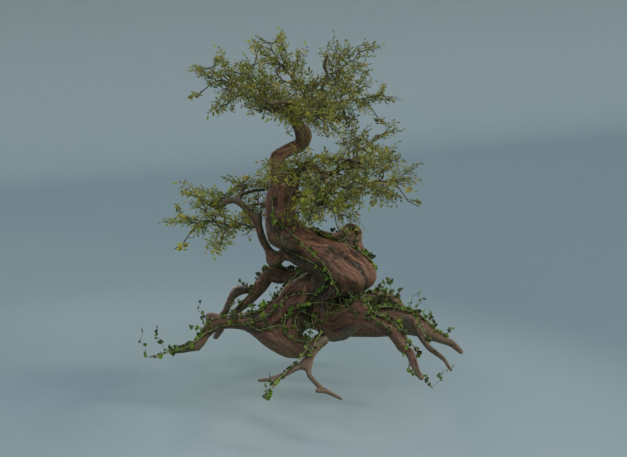 Chinese banyan Ancestral old tree Low-poly 3D model_10
