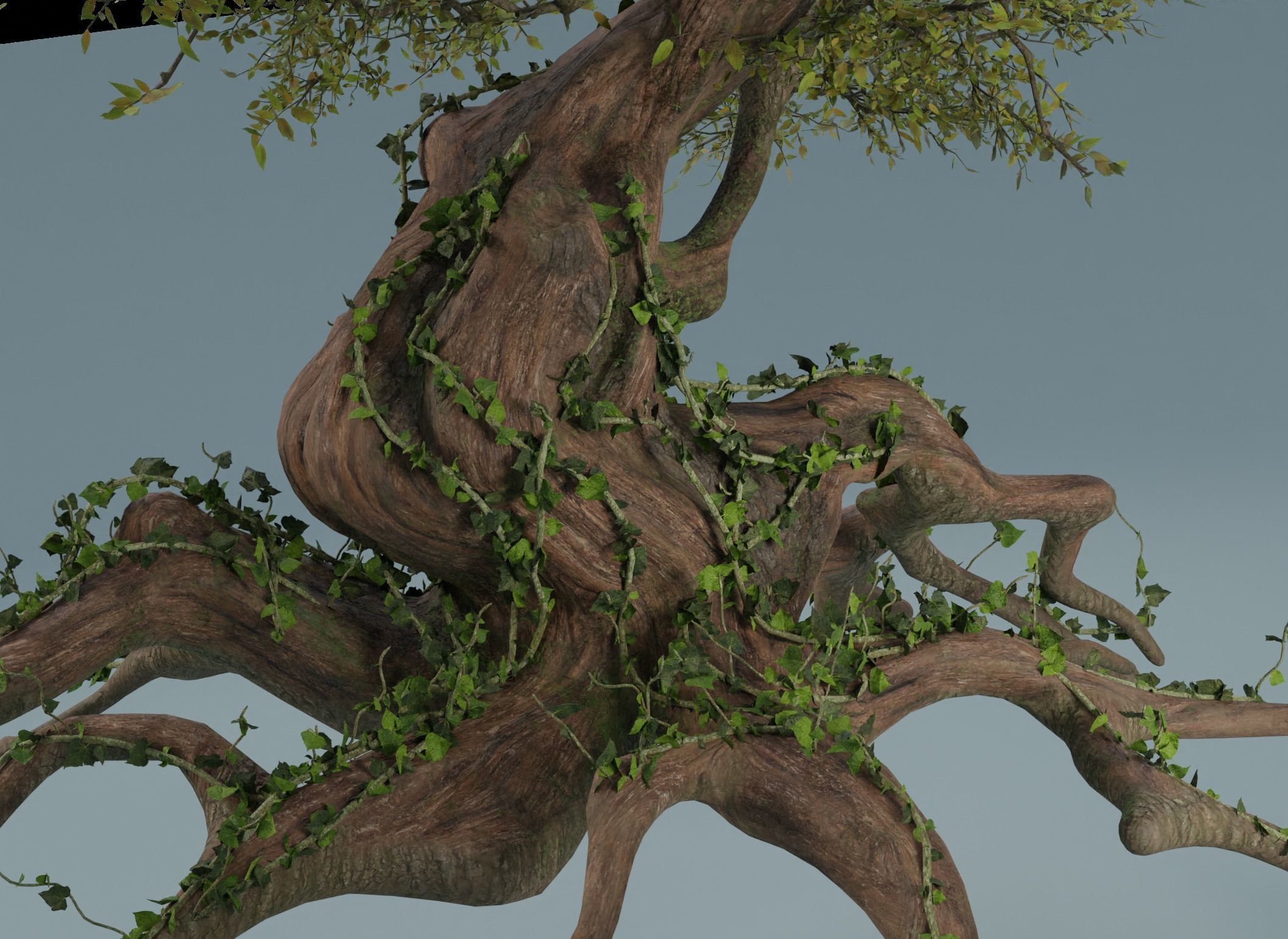 Chinese banyan Ancestral old tree Low-poly 3D model_15