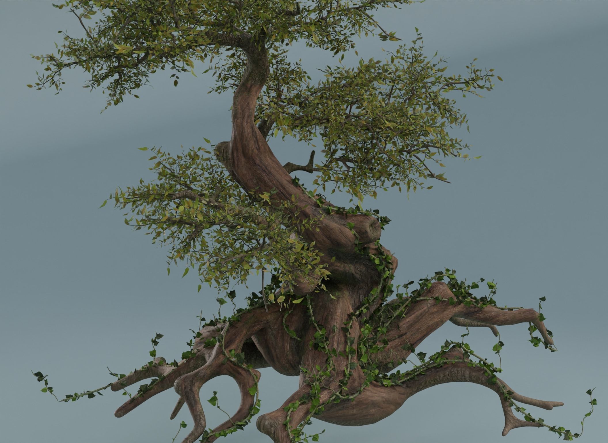 Chinese banyan Ancestral old tree Low-poly 3D model_13