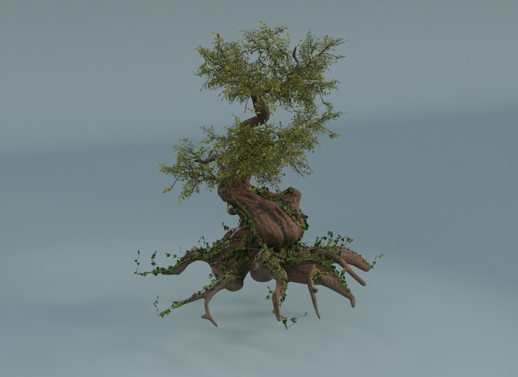 Chinese banyan Ancestral old tree Low-poly 3D model_9