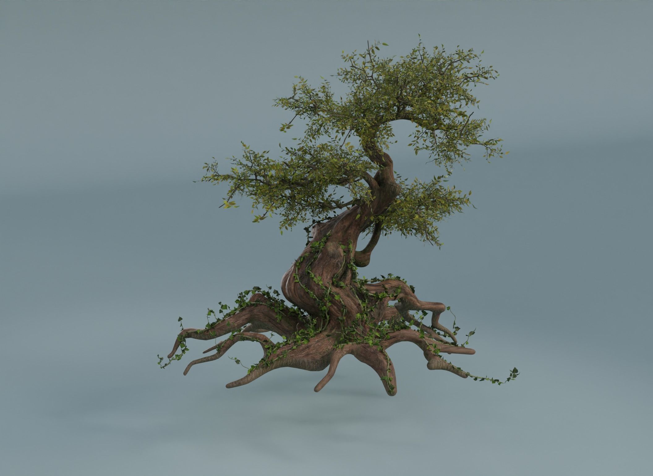 Chinese banyan Ancestral old tree Low-poly 3D model_6