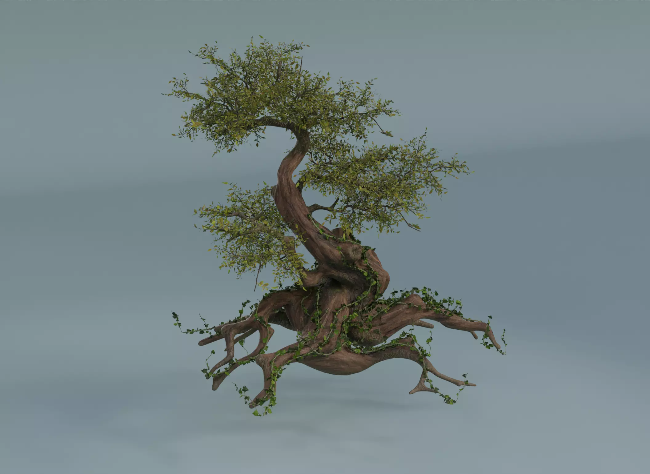 Chinese banyan Ancestral old tree Low-poly 3D model_0