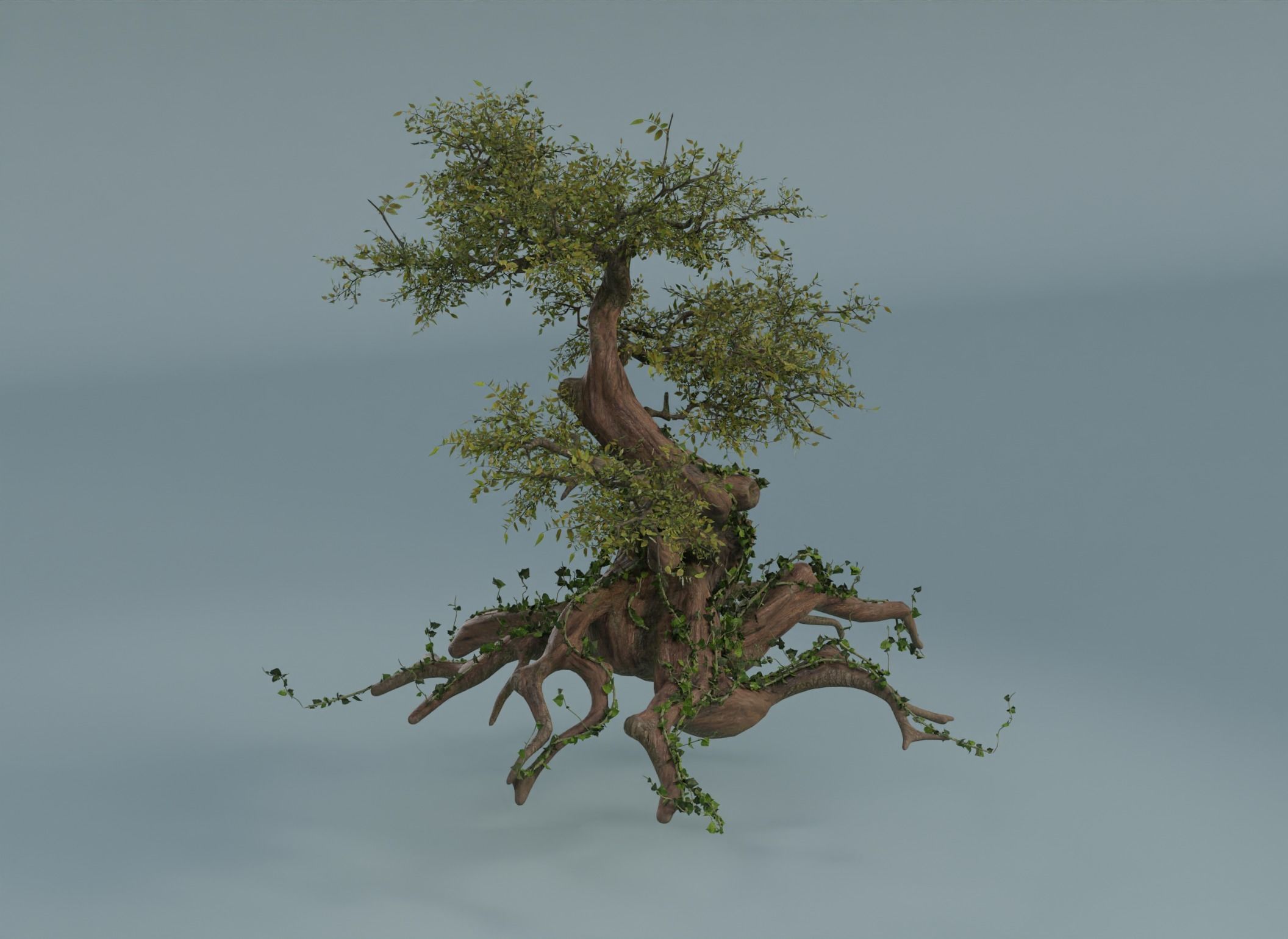 Chinese banyan Ancestral old tree Low-poly 3D model_1