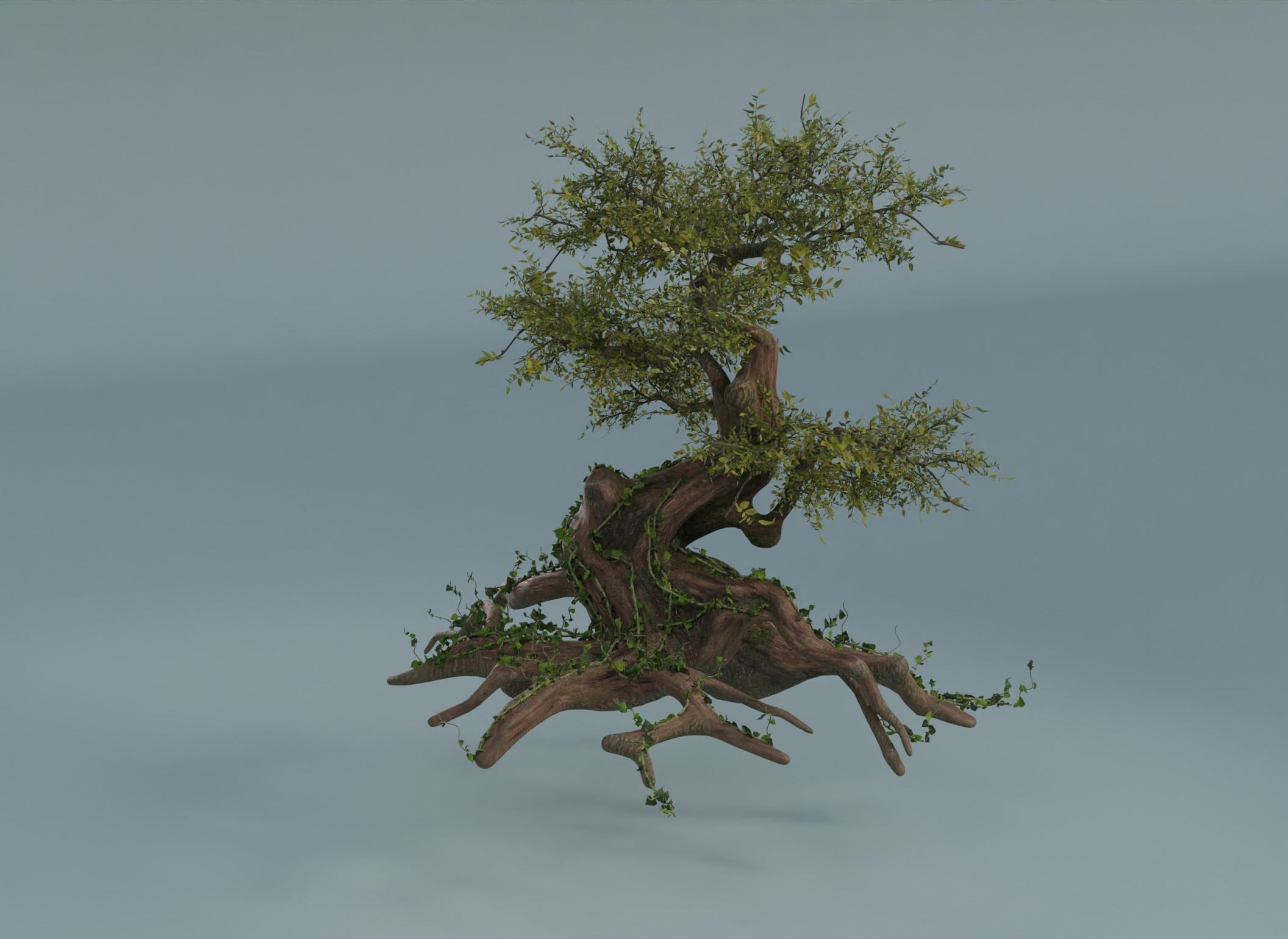 Chinese banyan Ancestral old tree Low-poly 3D model_4