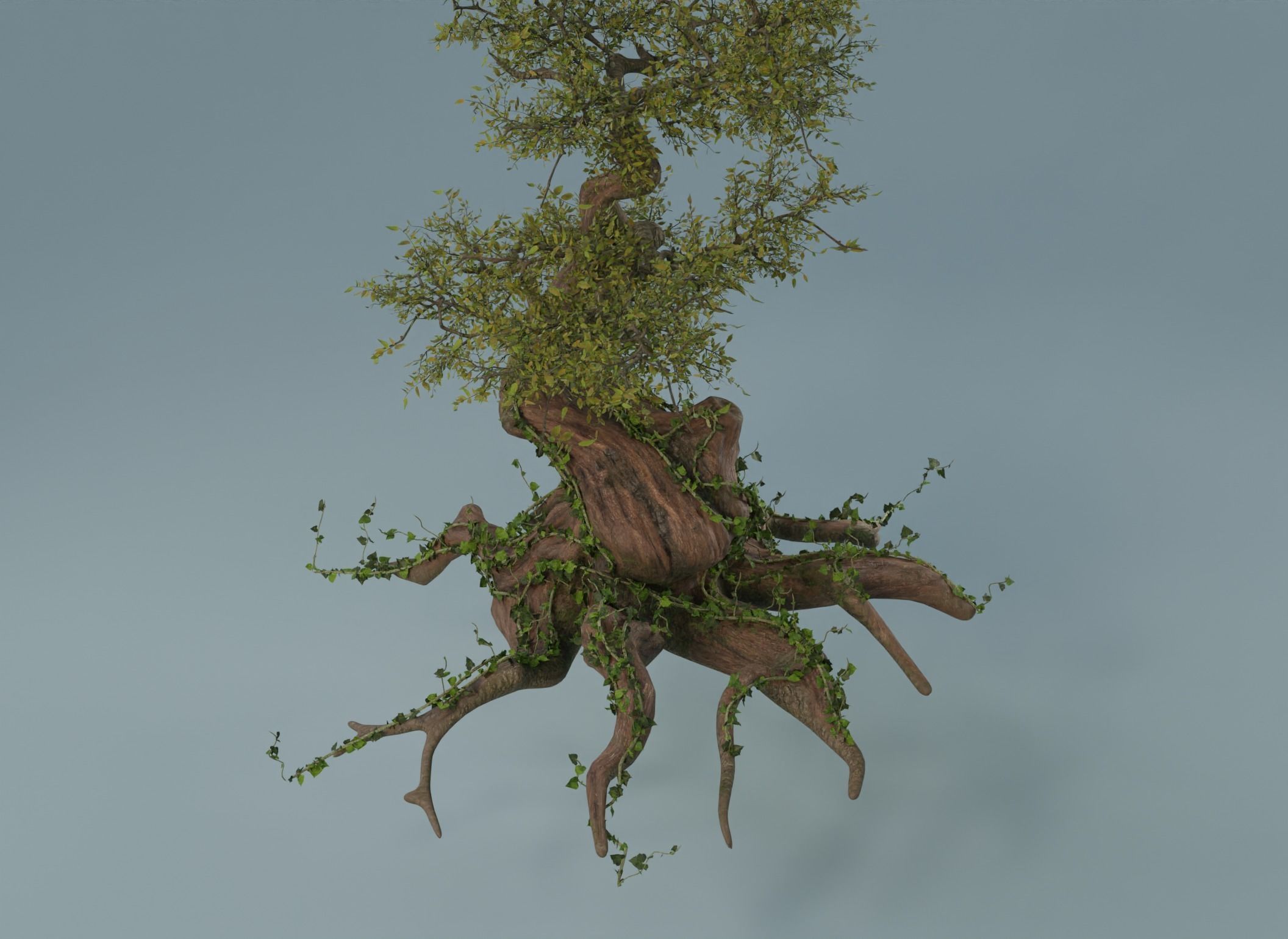 Chinese banyan Ancestral old tree Low-poly 3D model_14