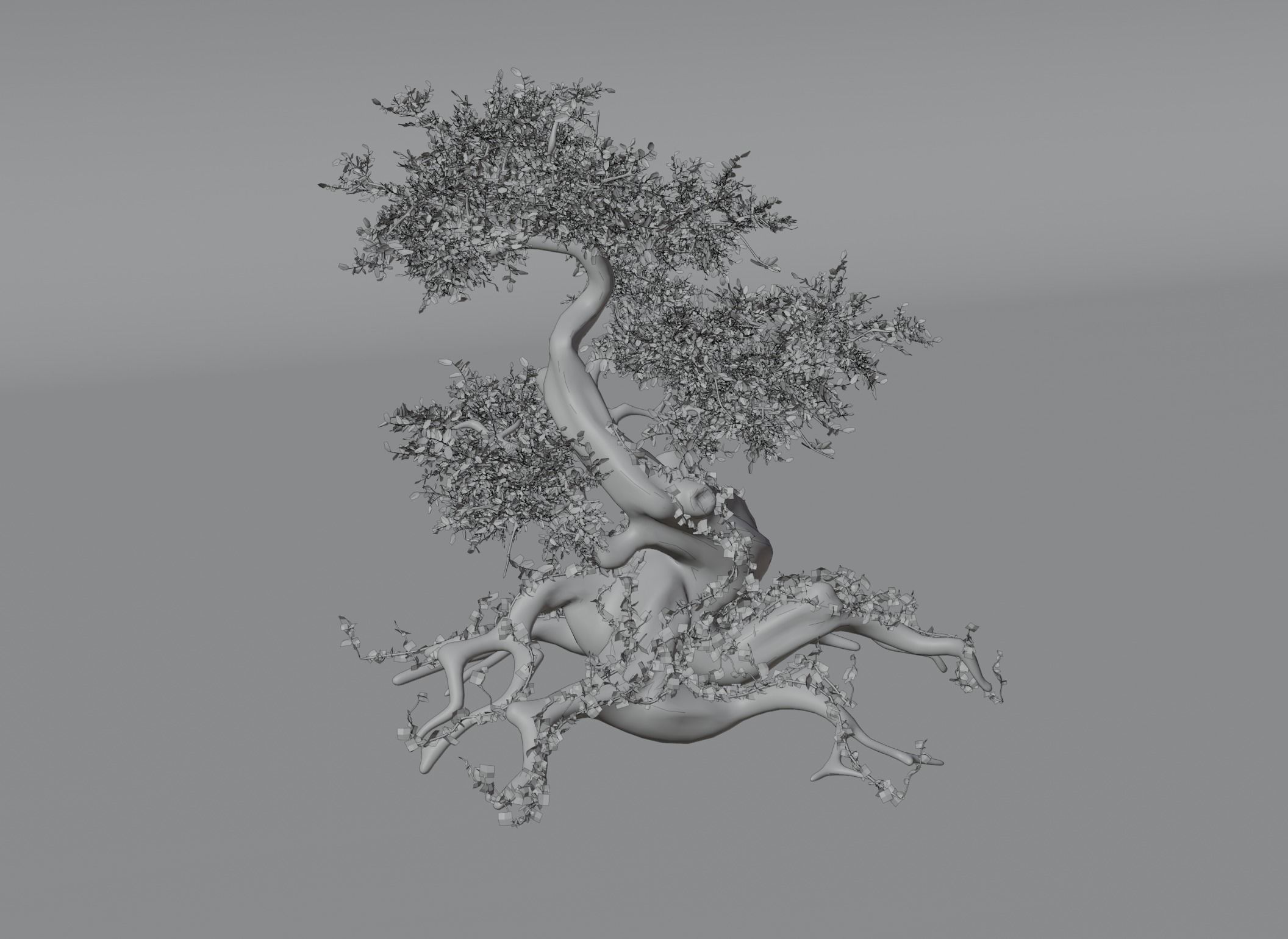 Chinese banyan Ancestral old tree Low-poly 3D model_12