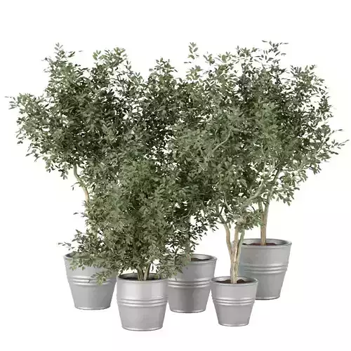 indoor outdoor collection vol 66 3D model