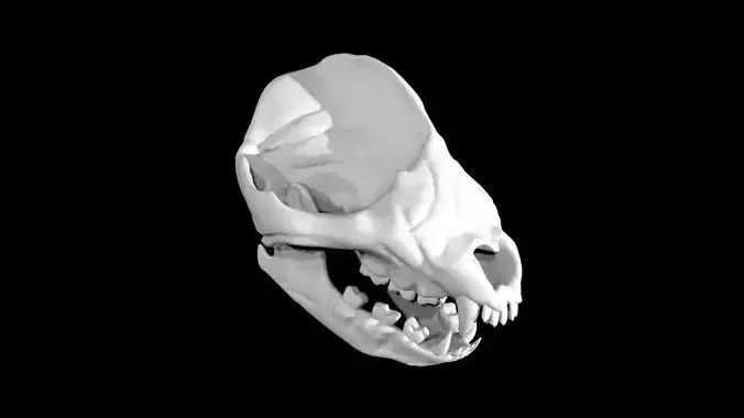 Panda skull Low-poly 3D model
