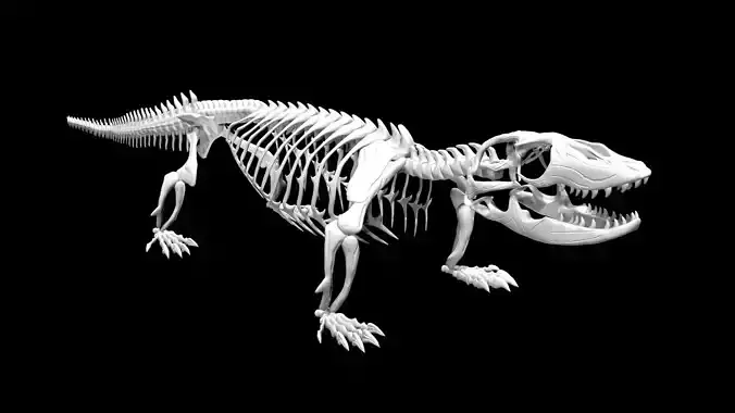 Komodo dragon skeleton Low-poly 3D model