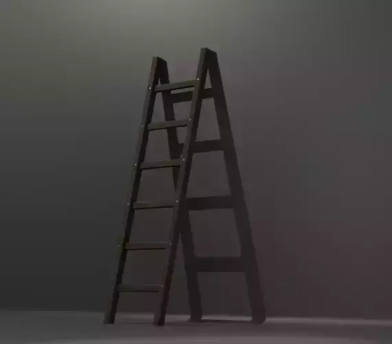 Wooden Ladder