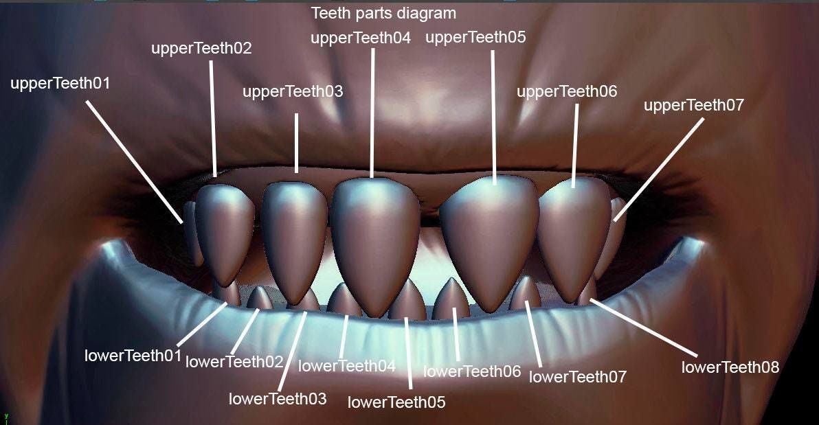 Cad Bane 1 1 scale head for 3d print 3D print model_7