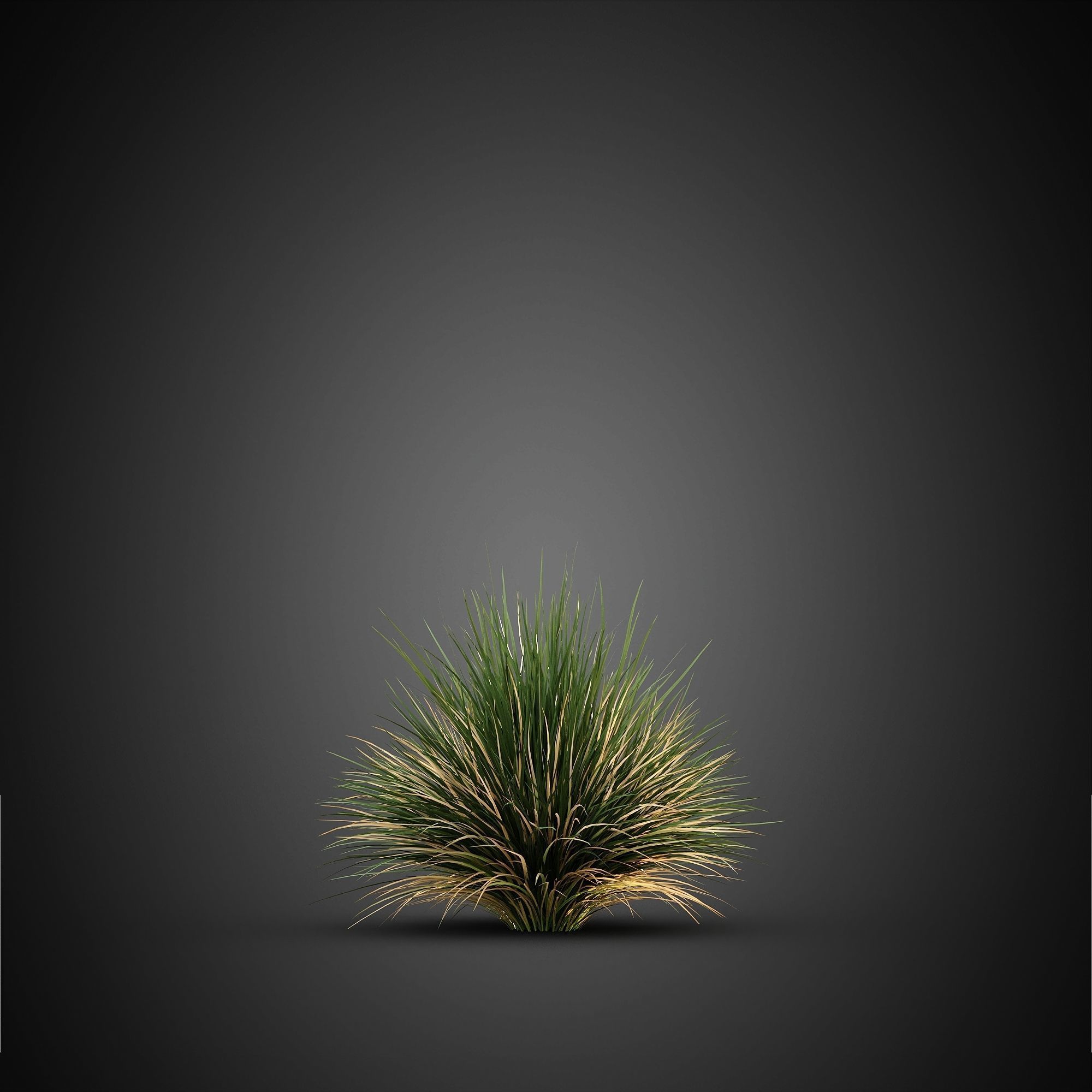 HeliosVegetation vol14 - Bushes and Plants  3D model_7