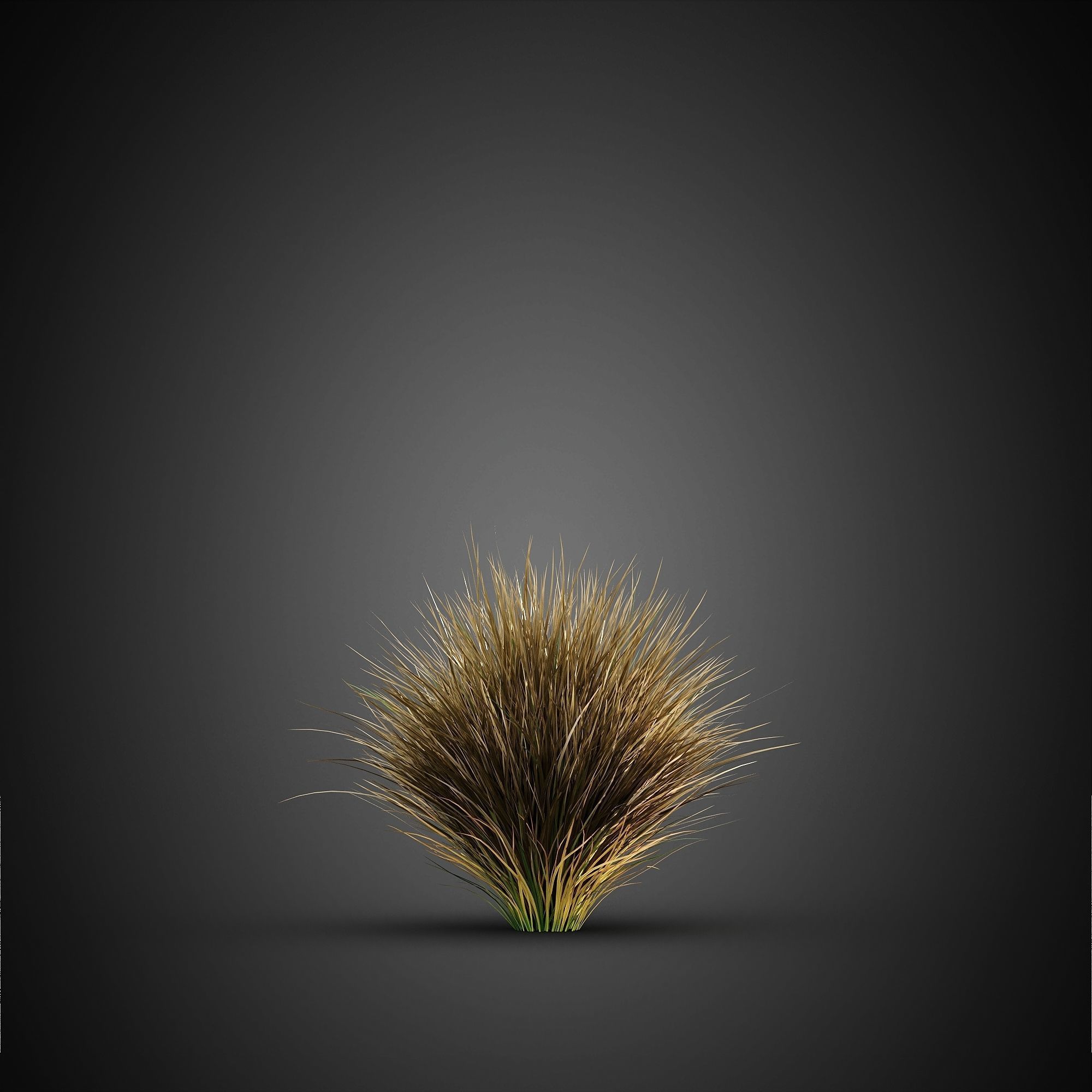 HeliosVegetation vol14 - Bushes and Plants  3D model_12