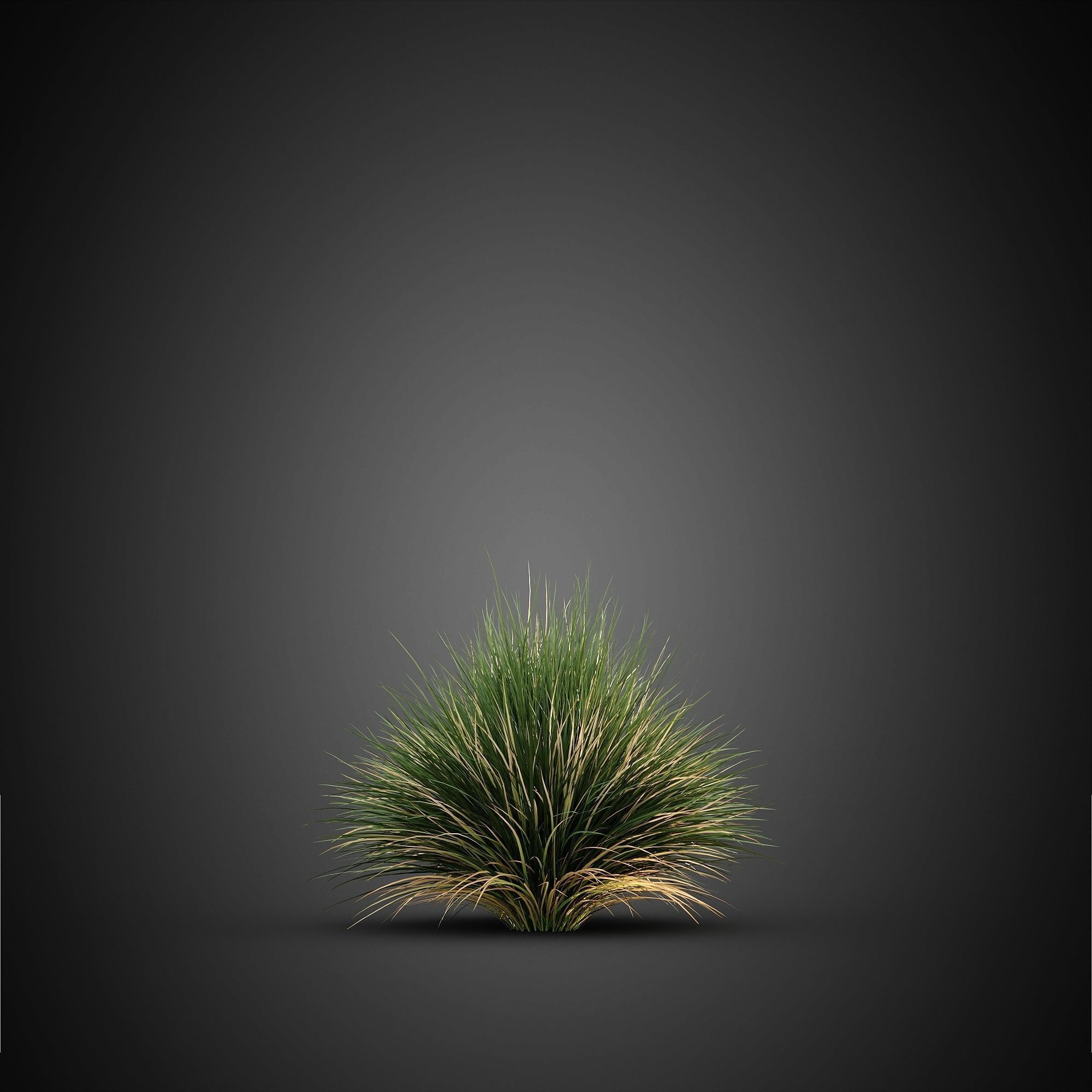 HeliosVegetation vol14 - Bushes and Plants  3D model_8