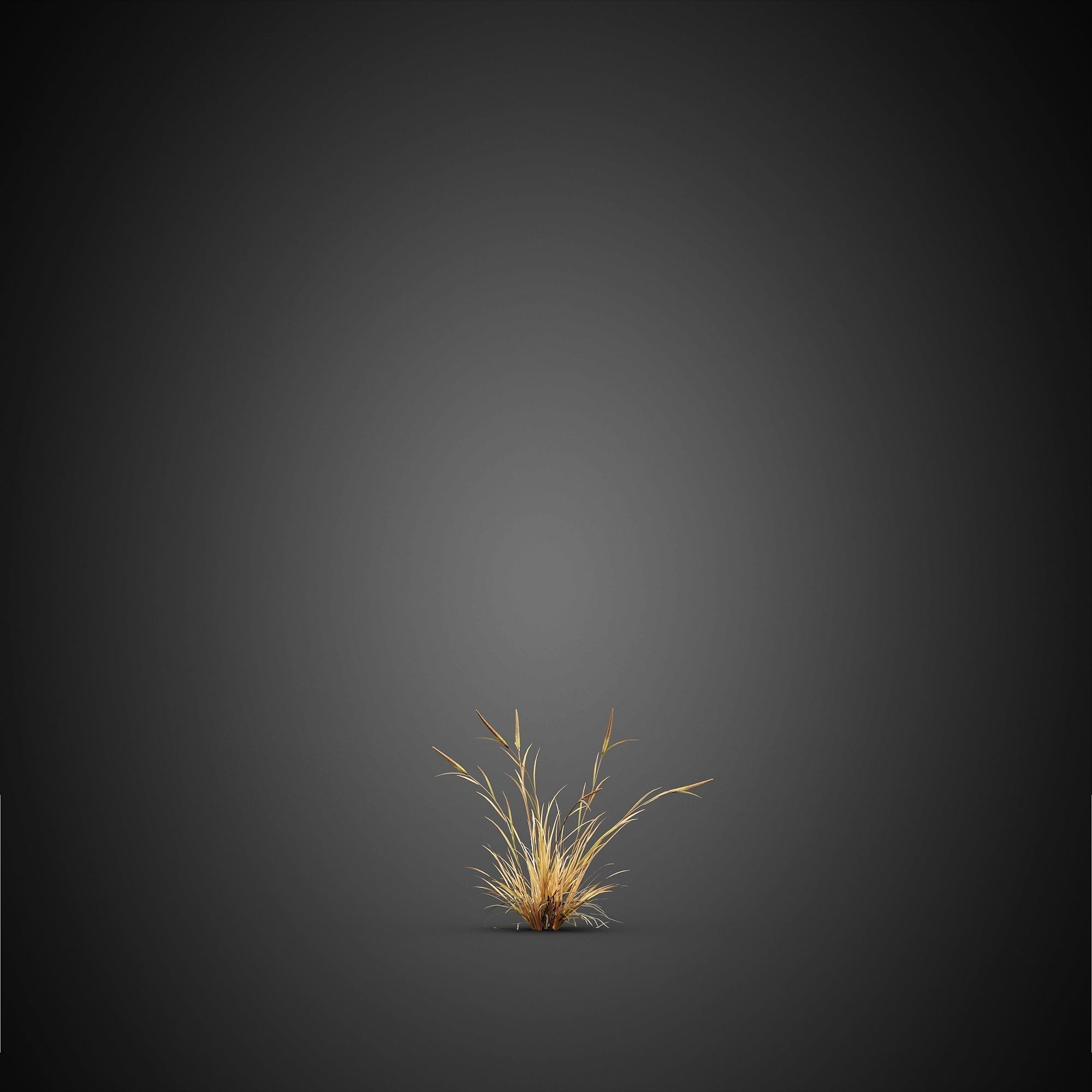 HeliosVegetation vol14 - Bushes and Plants  3D model_9