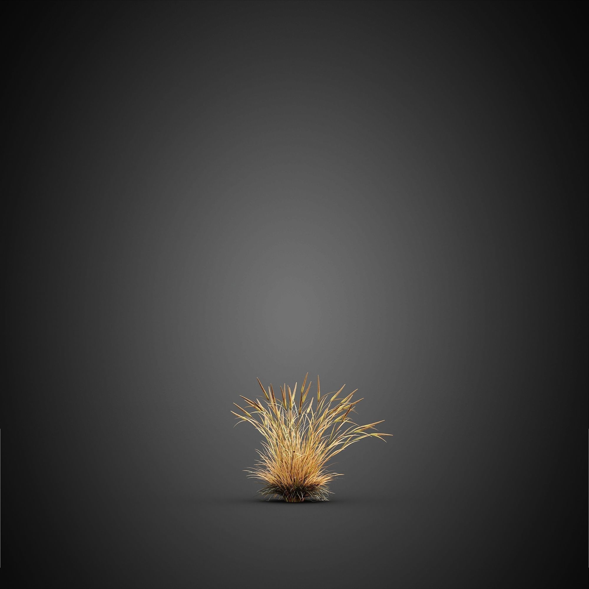 HeliosVegetation vol14 - Bushes and Plants  3D model_10