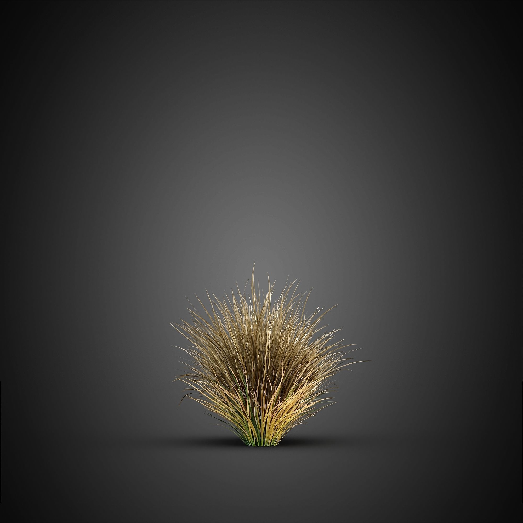 HeliosVegetation vol14 - Bushes and Plants  3D model_13