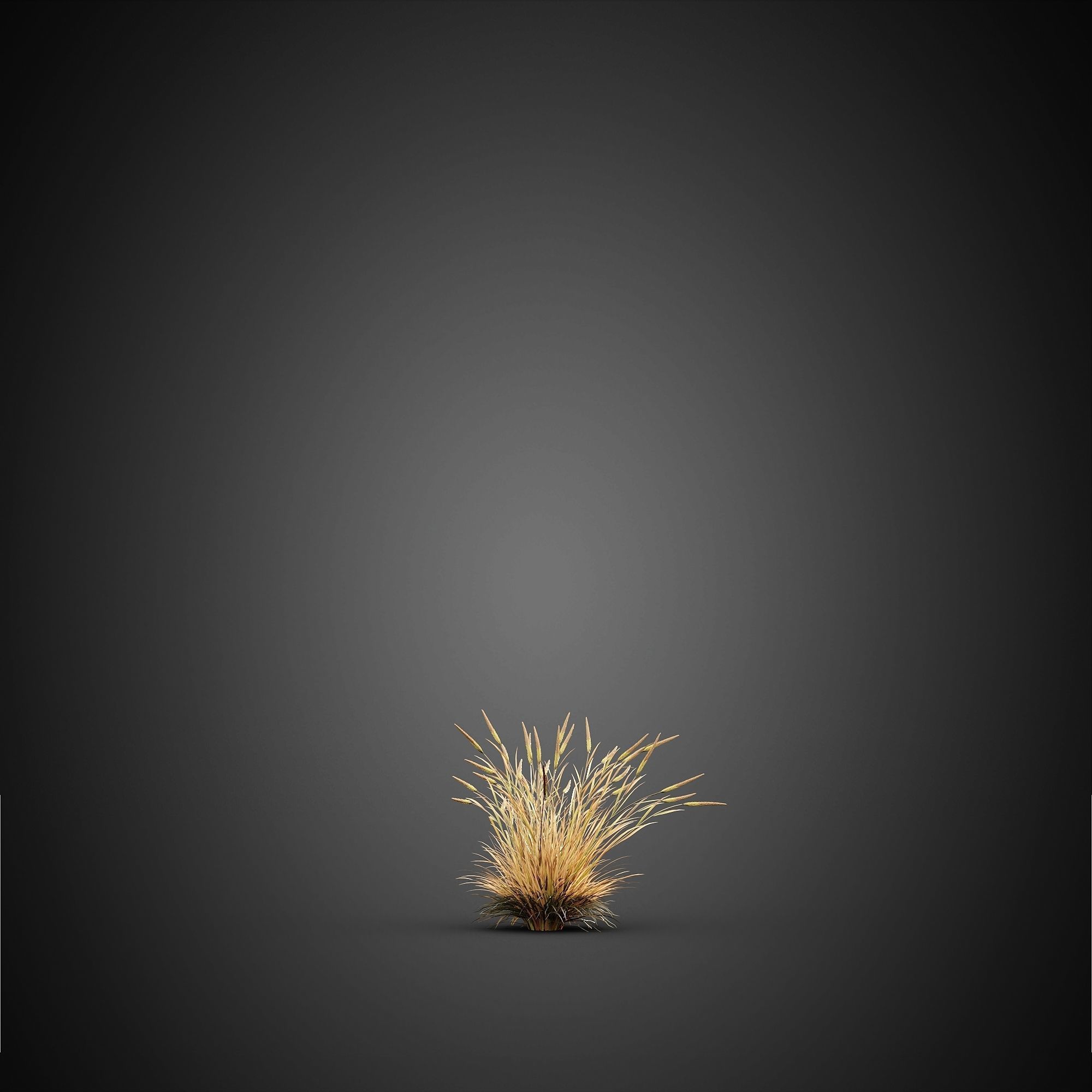 HeliosVegetation vol14 - Bushes and Plants  3D model_11