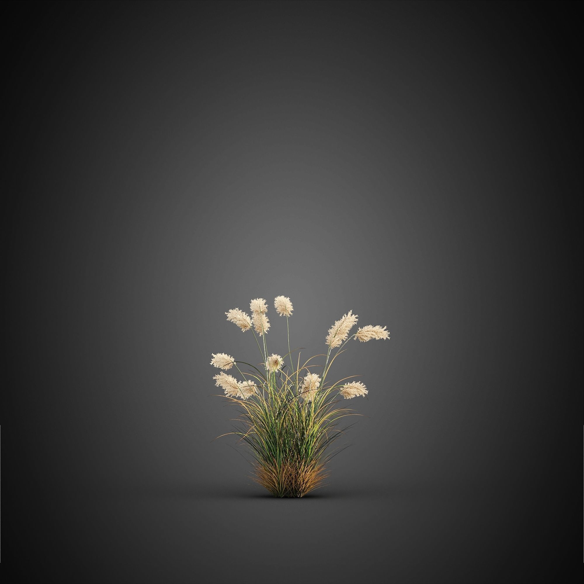 HeliosVegetation vol14 - Bushes and Plants  3D model_3