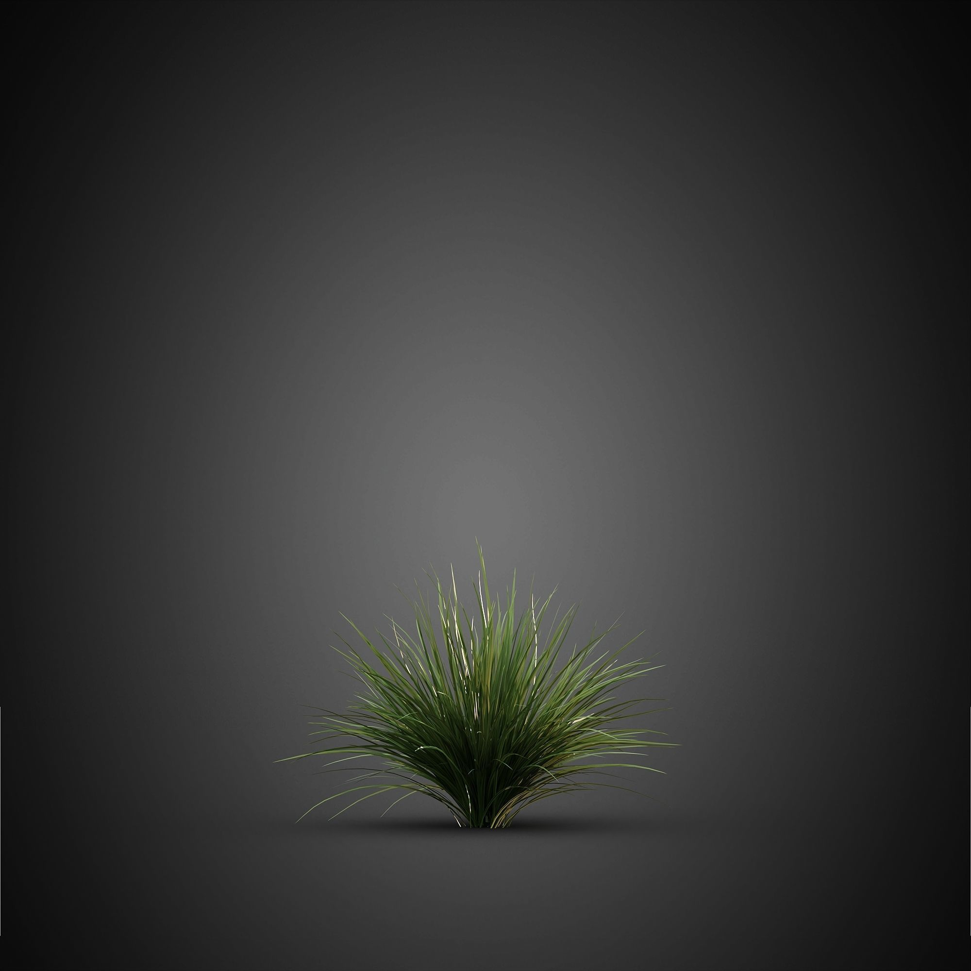 HeliosVegetation vol14 - Bushes and Plants  3D model_4