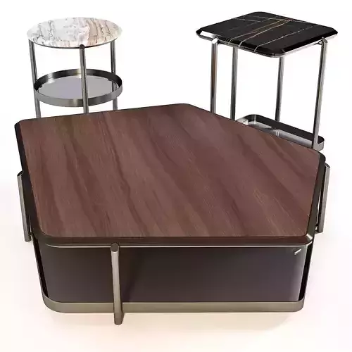 Giorgetti Skyline - Coffee Table Set 02