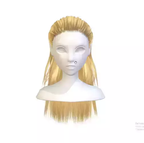 Hairstyle cartoon lush female 003 haircut of long 3D Model