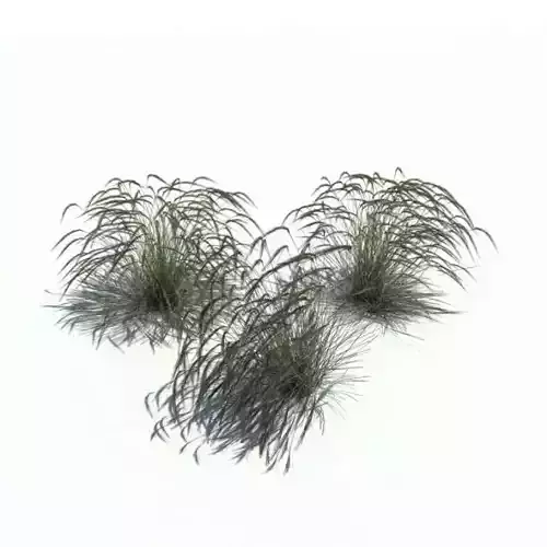 Bushy Grasses 3D model