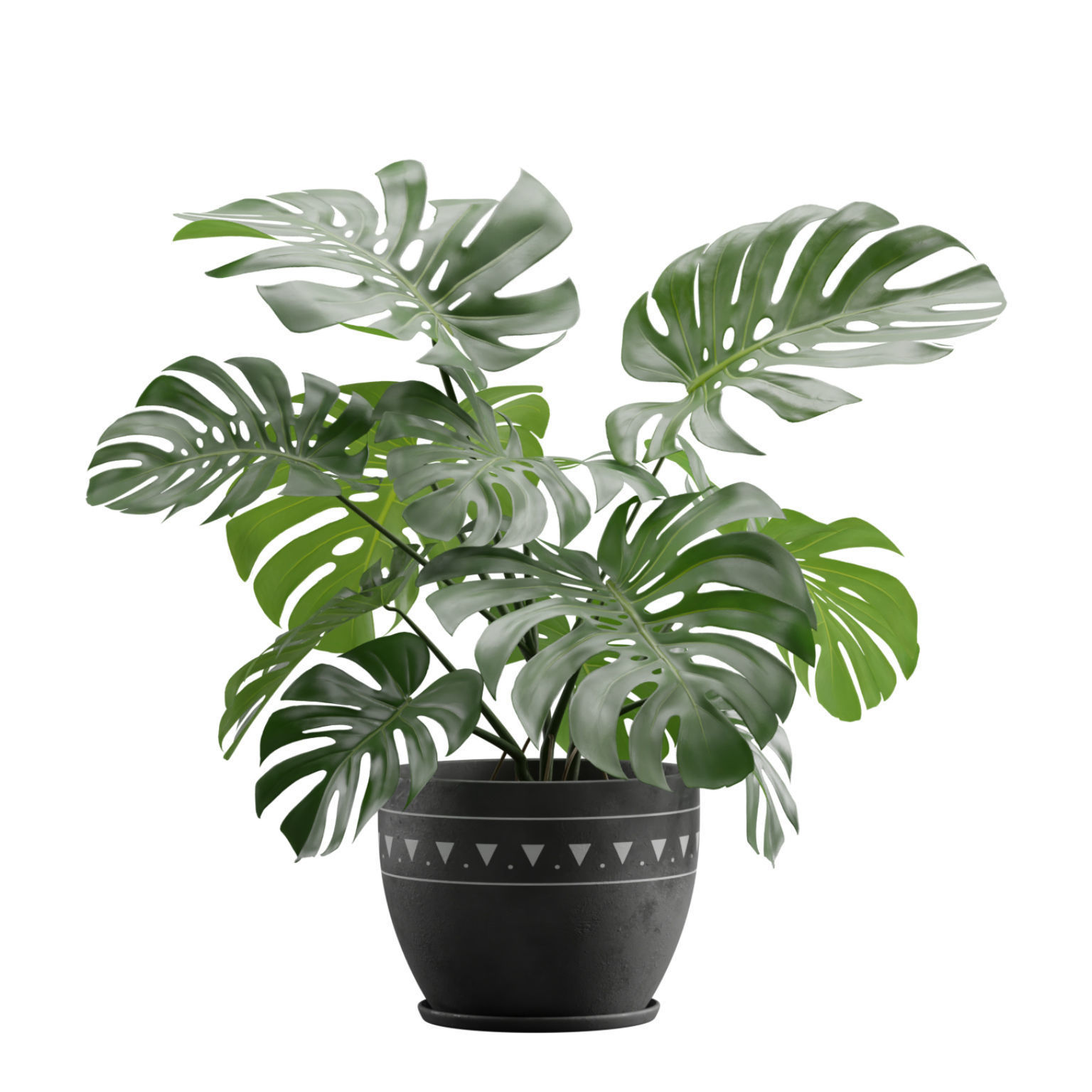 Indoor Plants Pack 17 3D model_7
